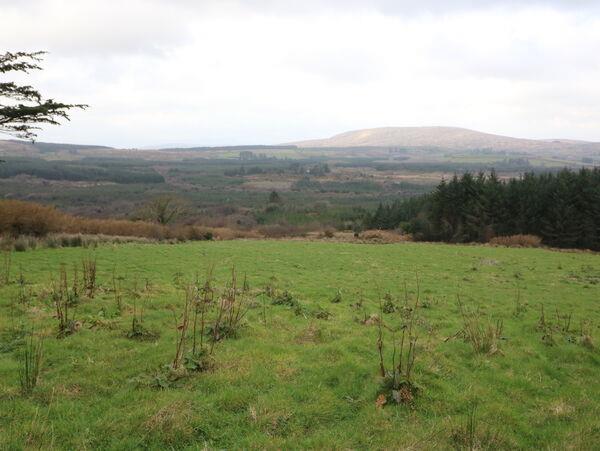 Some of the grazing land on the 82-acre farm which is in the townland of Letter, approximately 4.5kms from Schull, 10kms from Ballydehob and 23kms from Bantry.